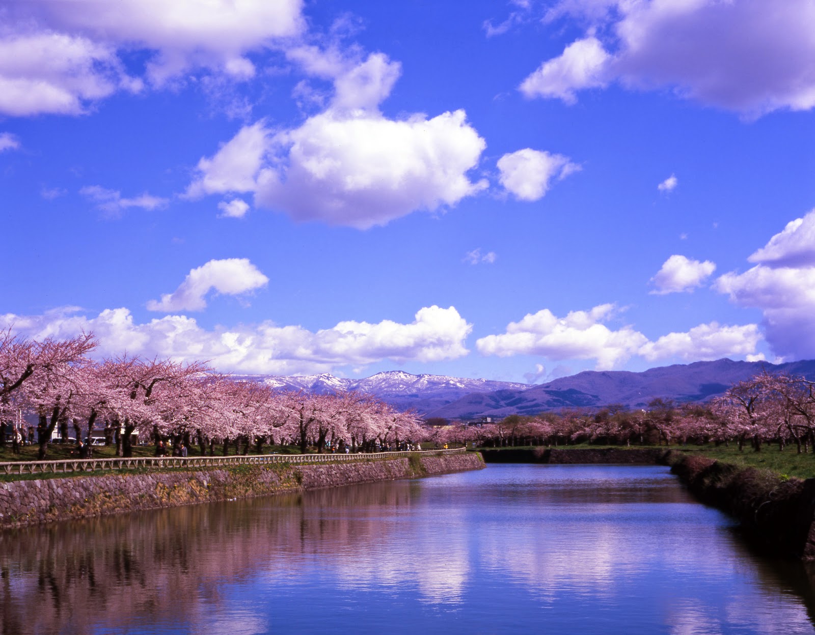 Explore JAPAN with Japanese tour leader : Fort Goryokaku